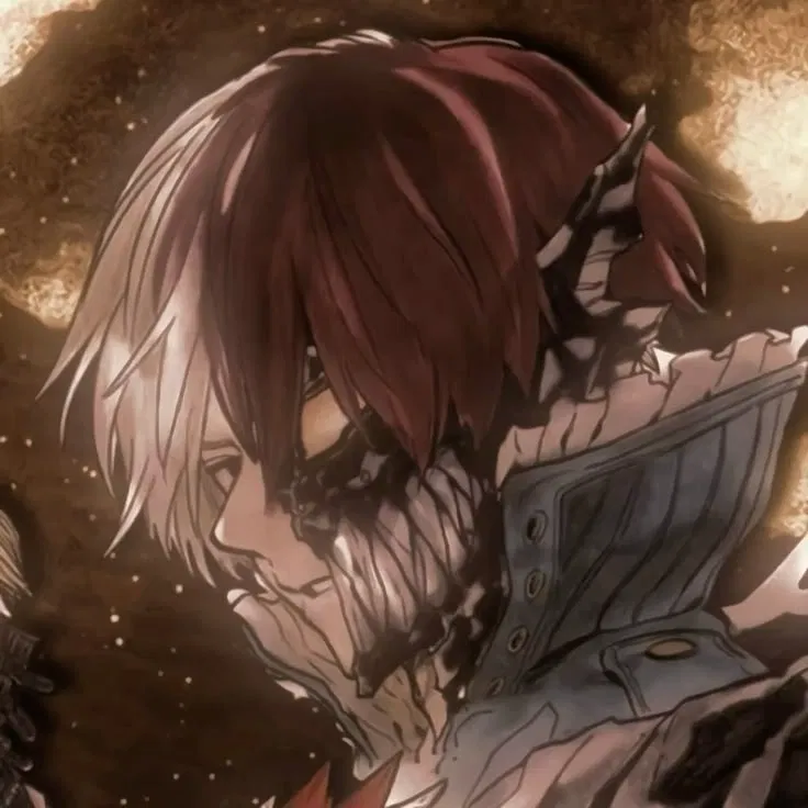 Avatar of Shoto Todoroki 