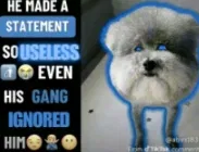 Avatar of Ngl chat I actually remember them all