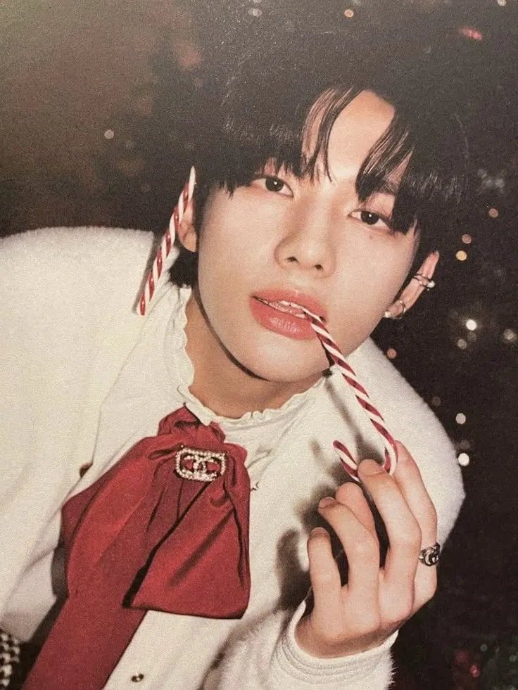 Avatar of Hyunjin | elf☃️