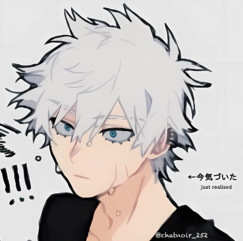 Avatar of Touya Todoroki