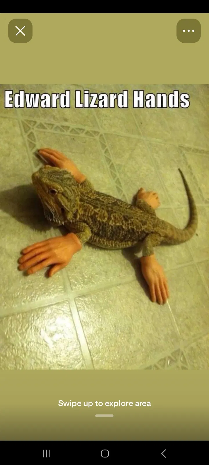 Avatar of ᑭᒪᗩYKIᑎ (ᗪᖇᗴՏᗰᑕOᖇᗴ Oᑕ) 