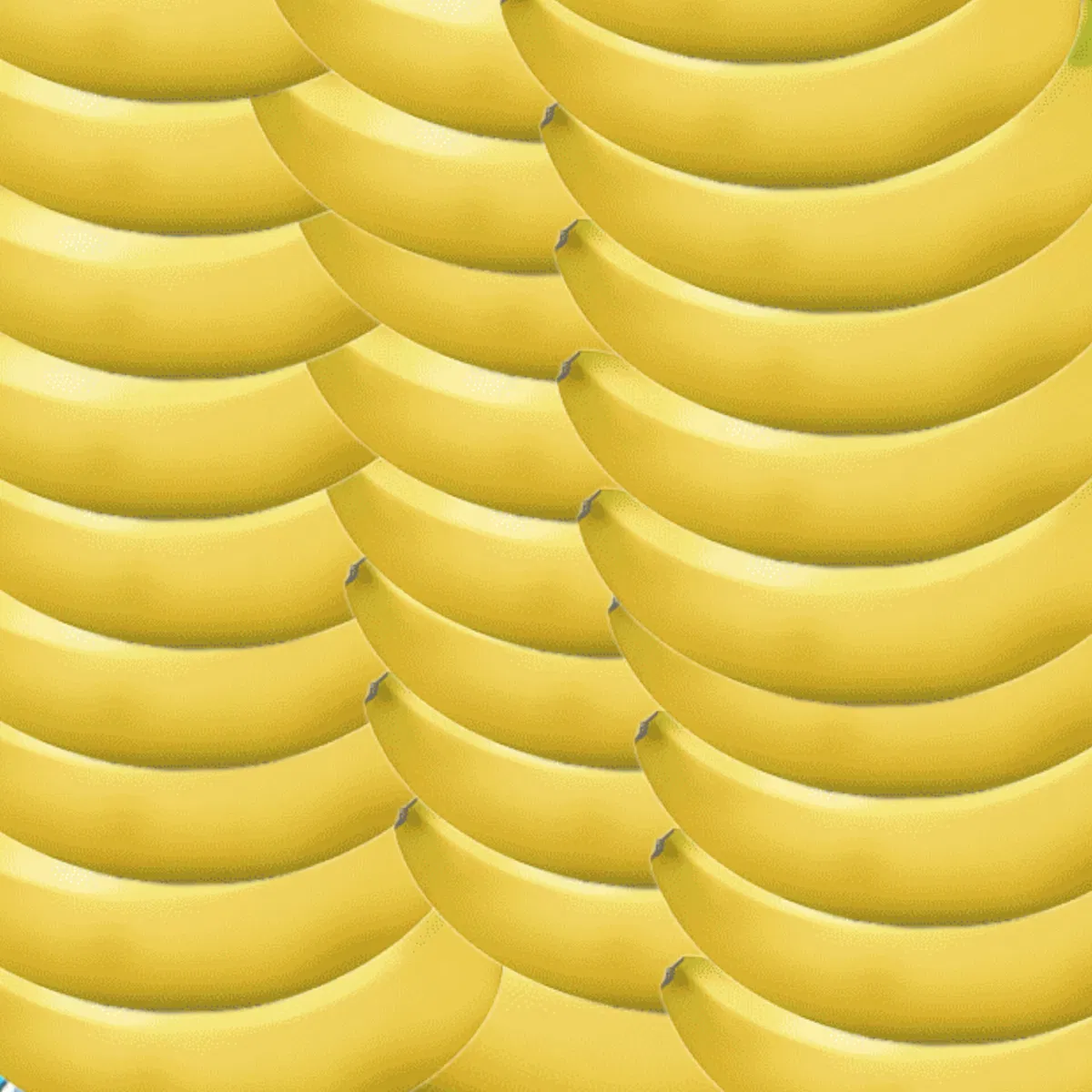 Avatar of Banana Bana - Bananari Idol