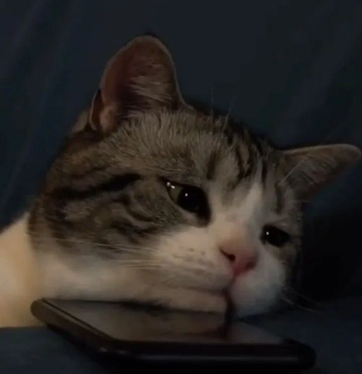 Avatar of Will be taking a small break 