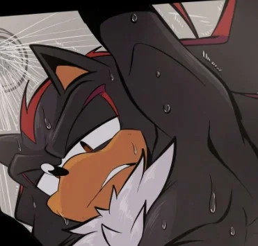 Avatar of ♥〔Shadow The Hedgehog〕♥