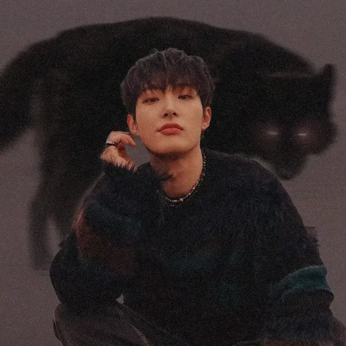 Avatar of Song Mingi | The Leashed Dog