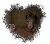 Avatar of The Commune - mlm