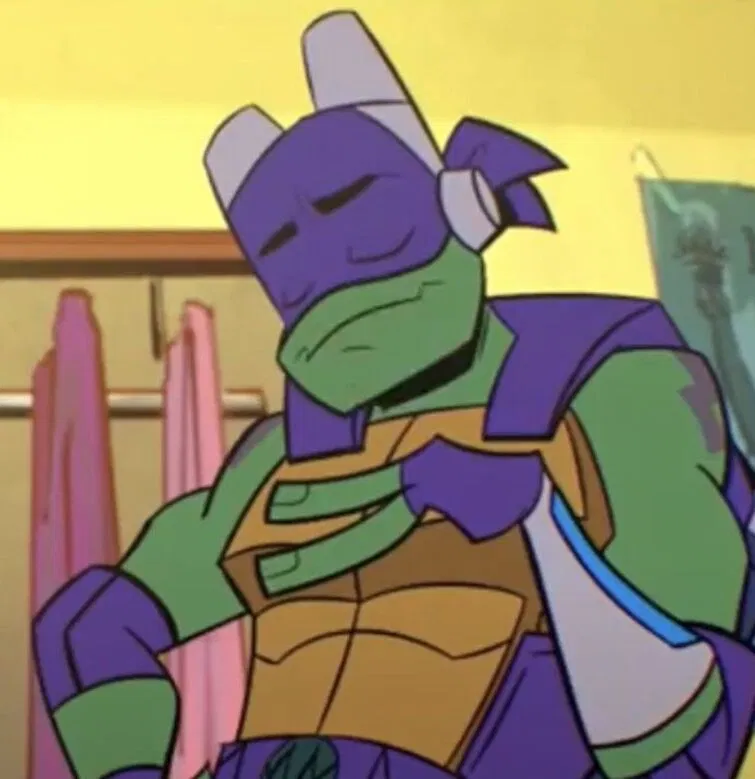 Avatar of Donatello Hamato: ROTTMNT-CYOS