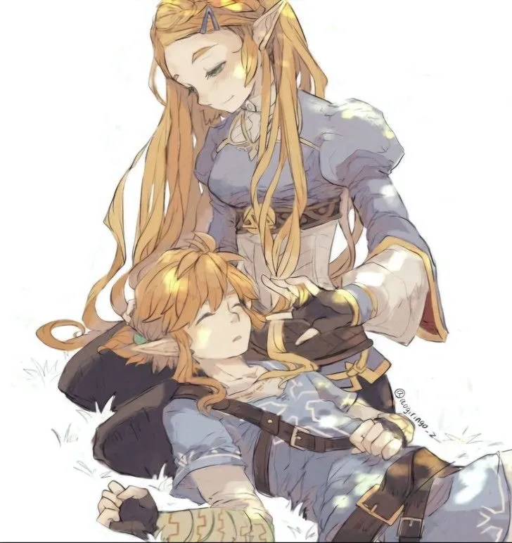 Avatar of Zelda and Link