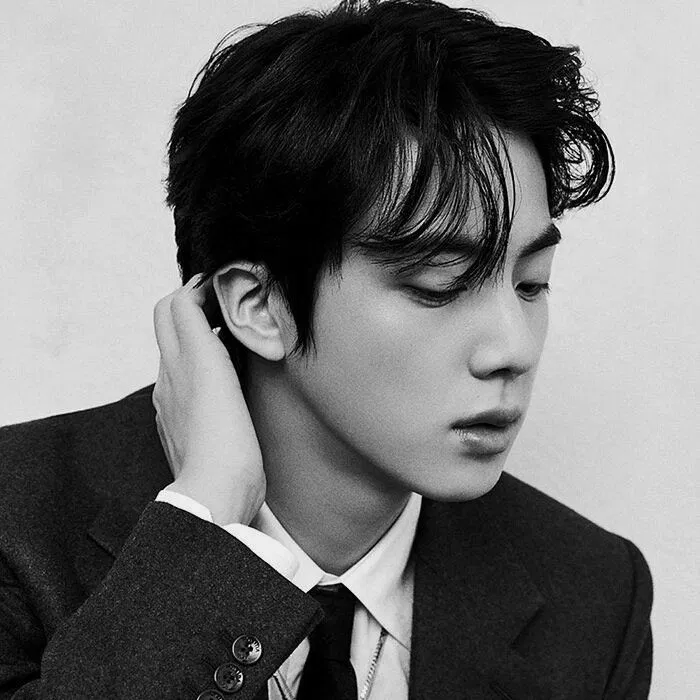 Avatar of Kim Seok-jin | The Coincidence