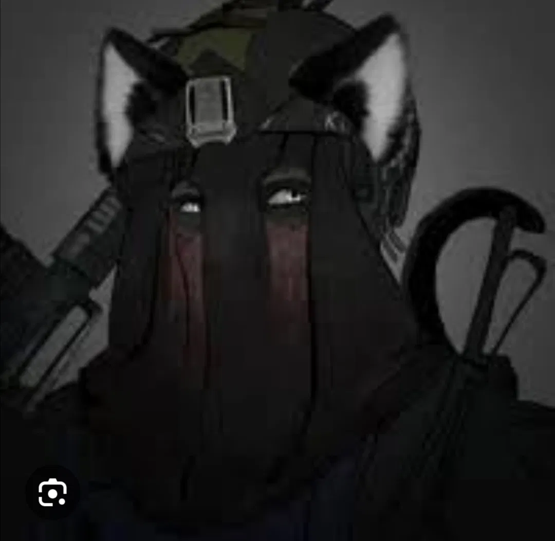 Avatar of König Cat love 