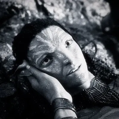 Avatar of NETEYAM SULLY
