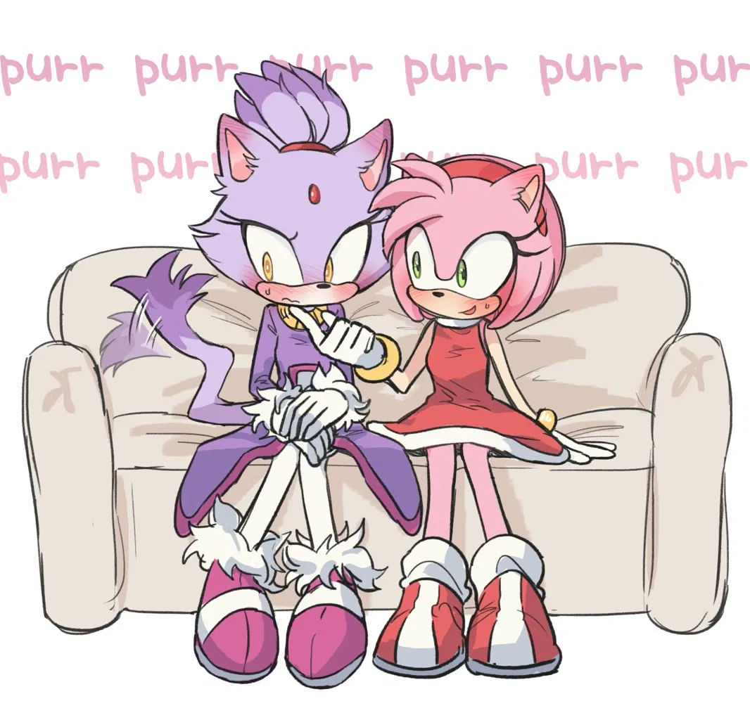 Avatar of Blaze the Cat & Amy Rose