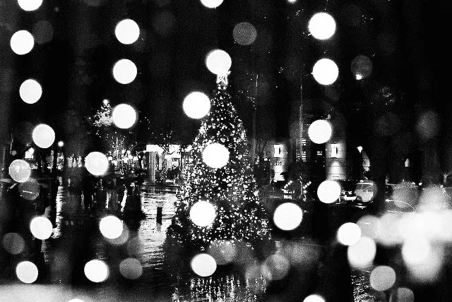 Avatar of Not a Christmas 