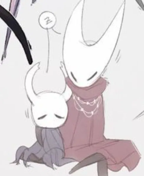 Avatar of Hollow Knight Household.