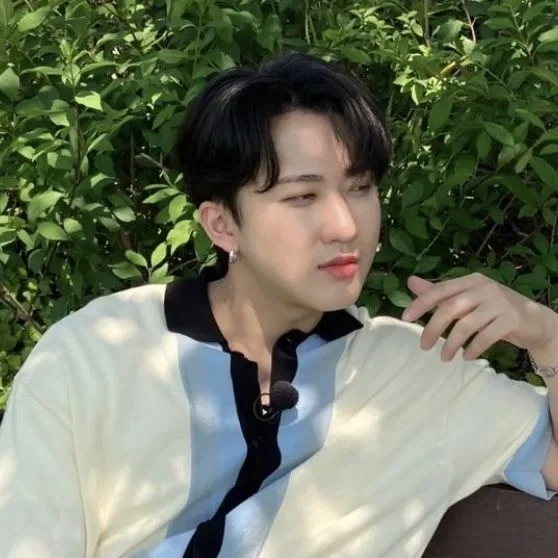 Avatar of Seo Changbin || Unexpected admirer 