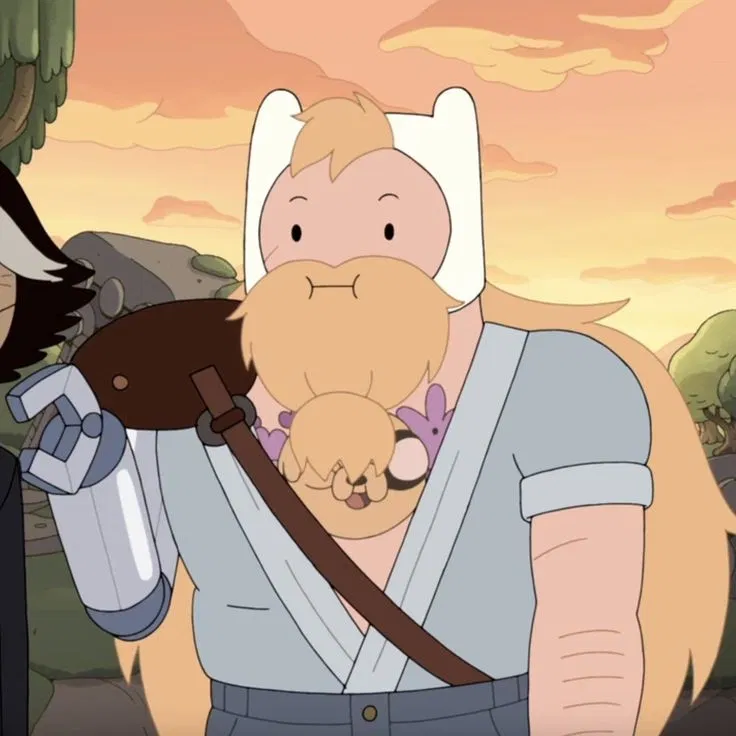 Avatar of Finn the Human ִ ࣪𖤐.ᐟ