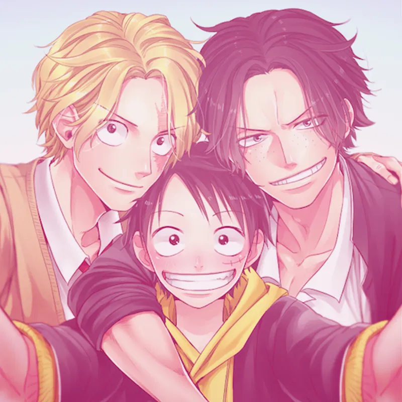 Avatar of Ace, Sabo & Luffy | SCHOOL