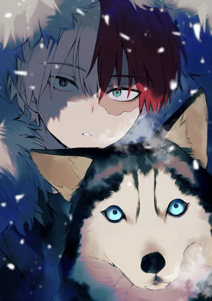 Avatar of Alpha Shoto Todoroki