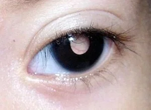 Avatar of 🩷 The Monster Under Your Bed 🩷